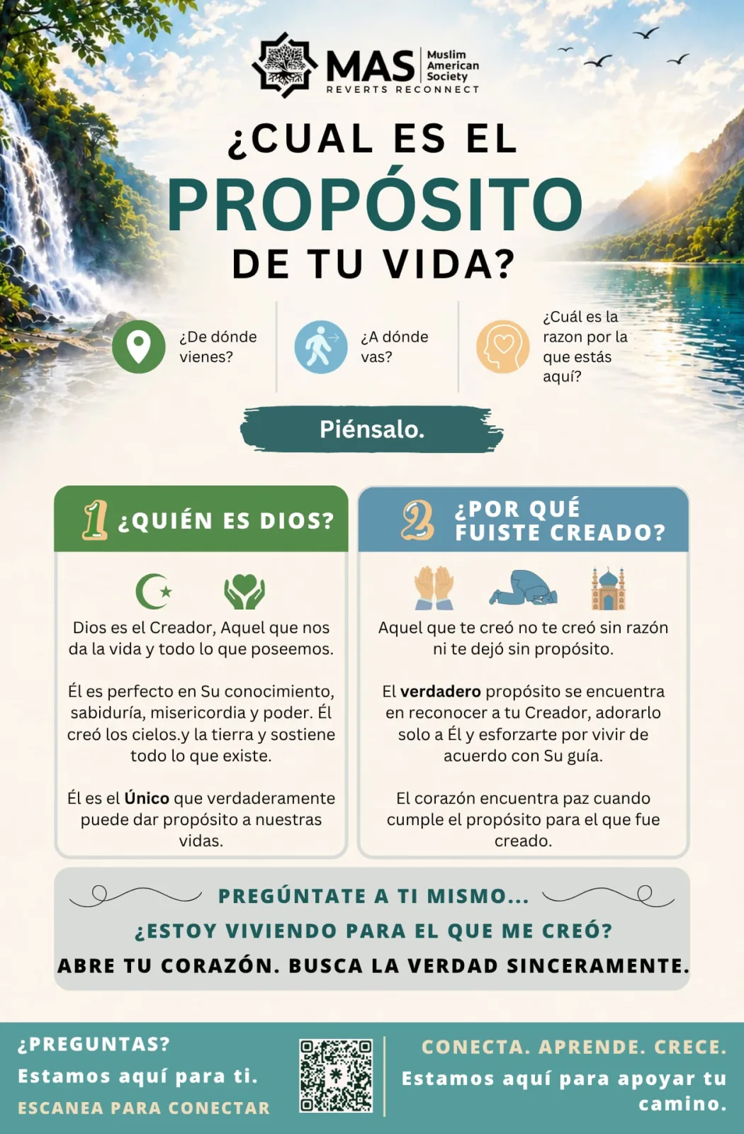 Volante: ¿Cuál es el propósito de tu vida?